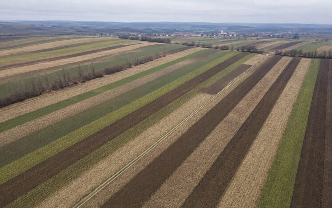 Letecký pohľad na poľnohospodársku krajinu rozdelenú na množstvo úzkych roztrúsených pásov ornej pôdy. Ilustruje rozdrobenosť pozemkov, ktorú komasácia rieši.
