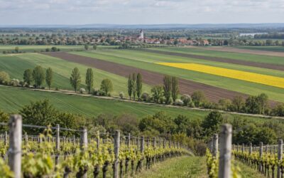 Drobenie pozemkov: Zákaz, výnimky a čo urobí kataster