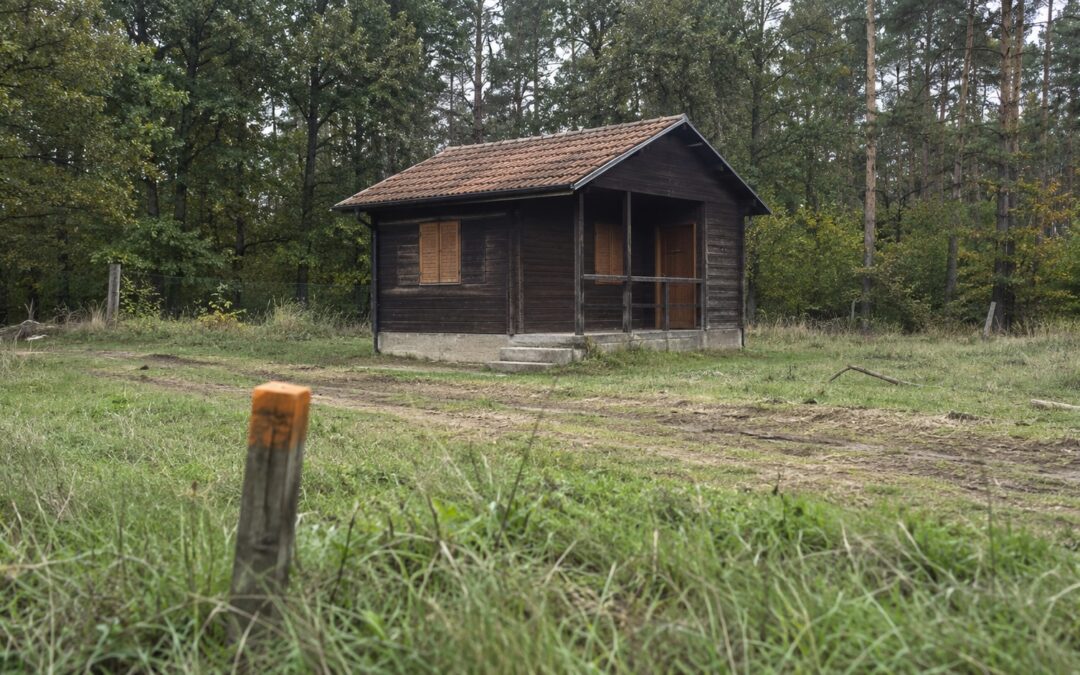Drevená rekreačná chata na okraji listnatého lesa, pred ňou v tráve drevený hraničný kolík s oranžovým vrchom. Ilustruje tému stavby chaty v lese a jej vzťah k hraniciam pozemku.